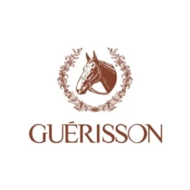 Guerisson